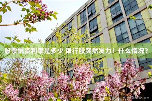 股票融资利率是多少 银行股突然发力！什么情况？