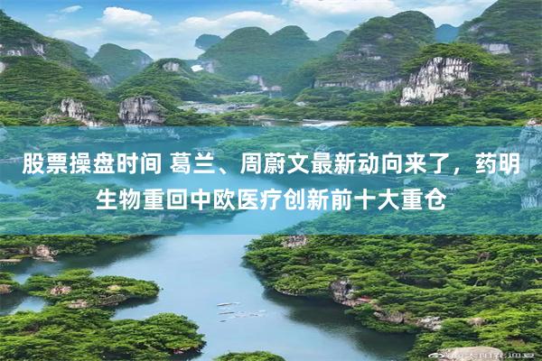 股票操盘时间 葛兰、周蔚文最新动向来了，药明生物重回中欧医疗创新前十大重仓