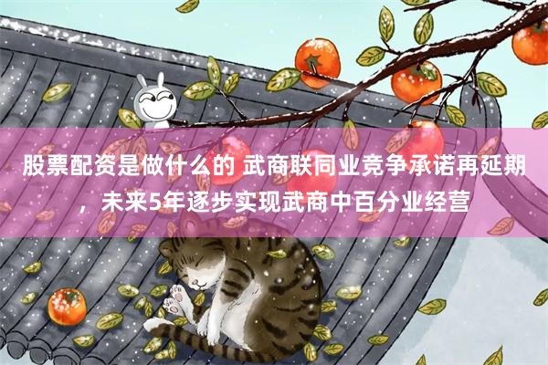 股票配资是做什么的 武商联同业竞争承诺再延期，未来5年逐步实现武商中百分业经营