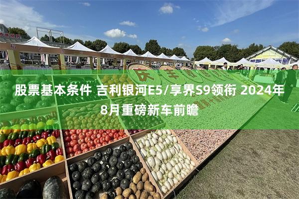 股票基本条件 吉利银河E5/享界S9领衔 2024年8月重磅新车前瞻