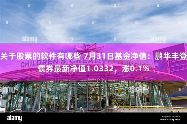 关于股票的软件有哪些 7月31日基金净值：鹏华丰登债券最新净值1.0332，涨0.1%