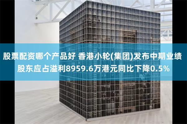 股票配资哪个产品好 香港小轮(集团)发布中期业绩 股东应占溢利8959.6万港元同比下降0.5%