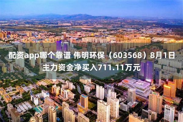 配资app哪个靠谱 伟明环保（603568）8月1日主力资金净买入711.11万元