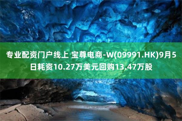 专业配资门户线上 宝尊电商-W(09991.HK)9月5日耗资10.27万美元回购13.47万股