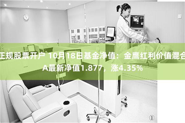 正规股票开户 10月18日基金净值：金鹰红利价值混合A最新净值1.877，涨4.35%