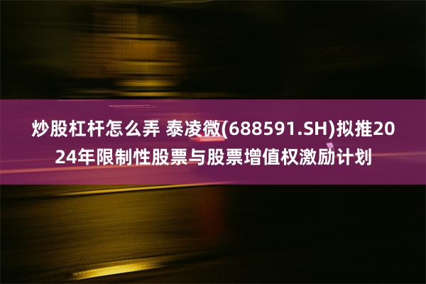 炒股杠杆怎么弄 泰凌微(688591.SH)拟推2024年限制性股票与股票增值权激励计划