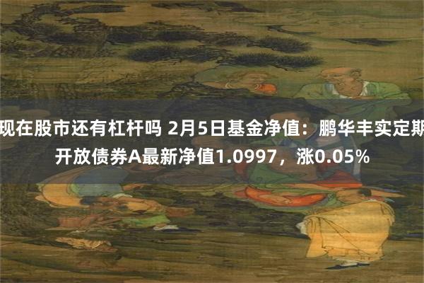 现在股市还有杠杆吗 2月5日基金净值：鹏华丰实定期开放债券A最新净值1.0997，涨0.05%