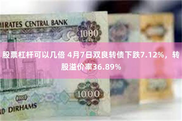 股票杠杆可以几倍 4月7日双良转债下跌7.12%，转股溢价率36.89%