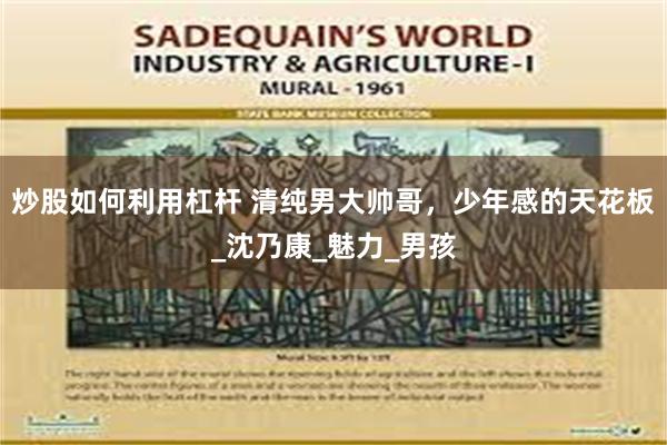 炒股如何利用杠杆 清纯男大帅哥，少年感的天花板_沈乃康_魅力_男孩