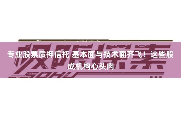 专业股票质押信托 基本面与技术面齐飞！这些股成机构心头肉