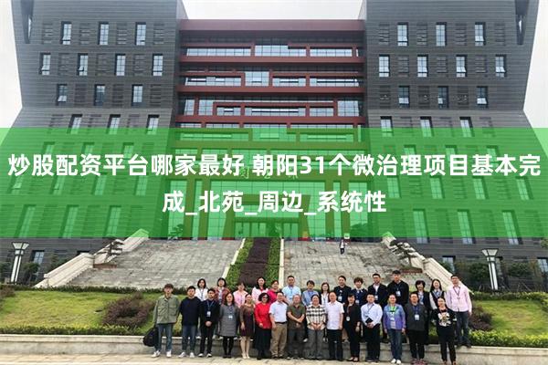炒股配资平台哪家最好 朝阳31个微治理项目基本完成_北苑_周边_系统性
