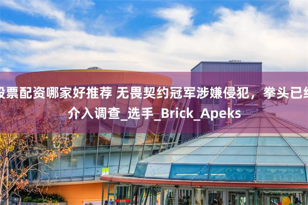 股票配资哪家好推荐 无畏契约冠军涉嫌侵犯，拳头已经介入调查_选手_Brick_A