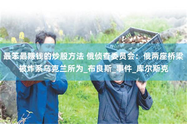最笨最赚钱的炒股方法 俄侦查委员会：俄两座桥梁被炸系乌克兰所为_布良斯_事件_库