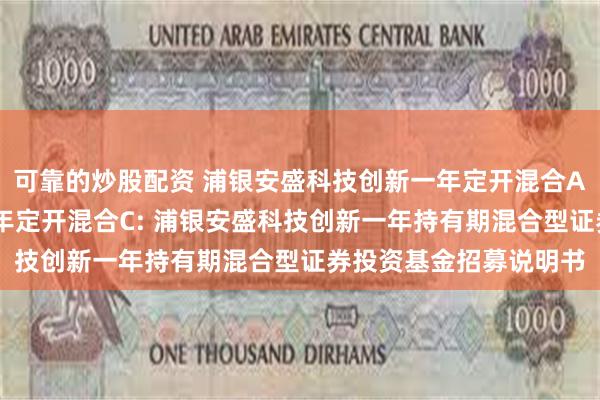 可靠的炒股配资 浦银安盛科技创新一年定开混合A,浦银安盛科技创新一年定开混合C: 浦银安盛科技创新一年持有期混合型证券投资基金招募说明书