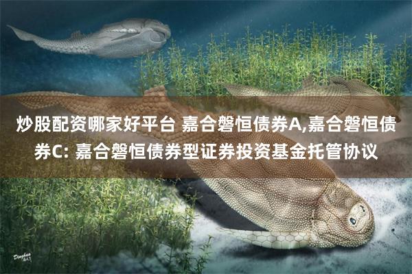 炒股配资哪家好平台 嘉合磐恒债券A,嘉合磐恒债券C: 嘉合磐恒债券型证券投资基金托管协议