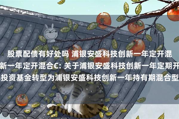 股票配债有好处吗 浦银安盛科技创新一年定开混合A,浦银安盛科技创新一年定开混合C: 关于浦银安盛科技创新一年定期开放混合型证券投资基金转型为浦银安盛科技创新一年持有期混合型证券投资基金暨基金合同生效的提示性公告