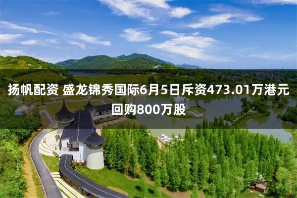 扬帆配资 盛龙锦秀国际6月5日斥资473.01万港元回购800万股