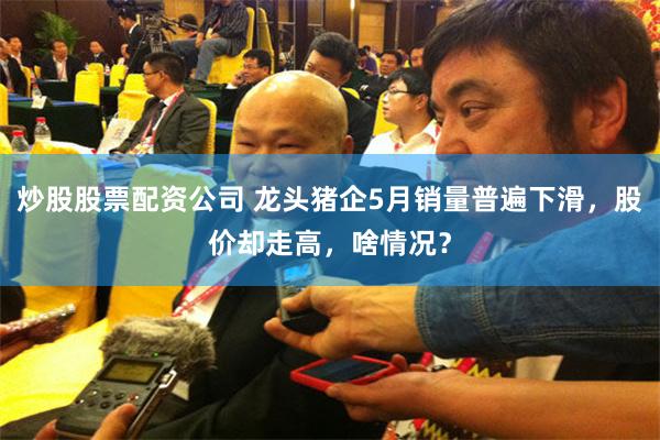 炒股股票配资公司 龙头猪企5月销量普遍下滑，股价却走高，啥情况？