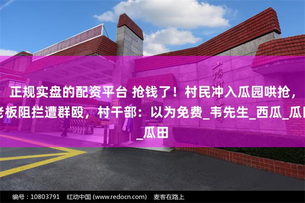 正规实盘的配资平台 抢钱了！村民冲入瓜园哄抢，老板阻拦遭群殴，村干部：以为免费_