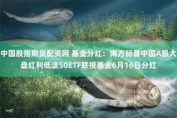 中国股指期货配资网 基金分红：南方标普中国A股大盘红利低波50ETF联接基金6月