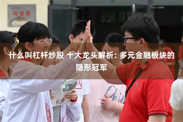 什么叫杠杆炒股 十大龙头解析: 多元金融板块的隐形冠军