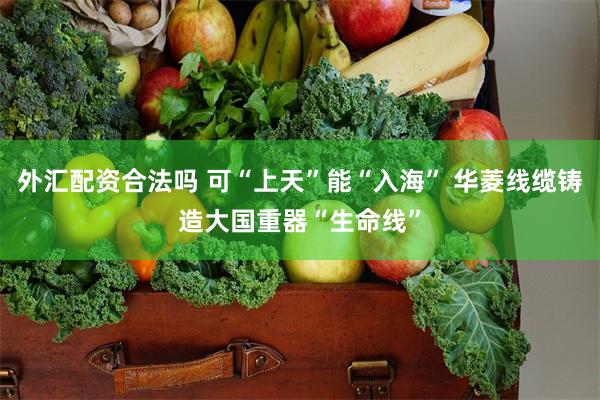 外汇配资合法吗 可“上天”能“入海” 华菱线缆铸造大国重器“生命线”
