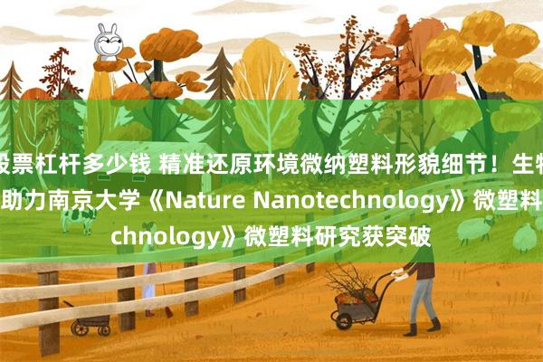 股票杠杆多少钱 精准还原环境微纳塑料形貌细节！生物型透射电镜助力南京大学《Nat